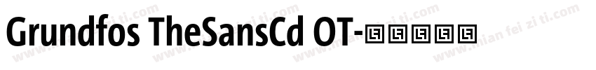 Grundfos TheSansCd OT字体转换